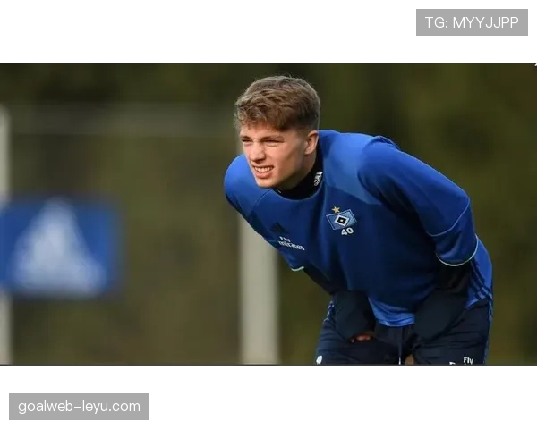 汉堡队新赛季阵容深度解析：潜力新星闪耀，冲击升级再添砝码