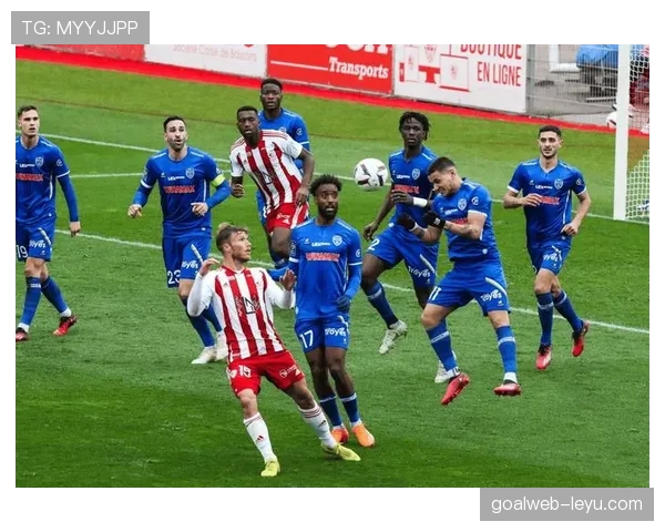 博洛尼亚战术革新显成效：精细化调整助力球队竞争力稳步提升